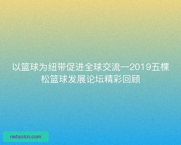 以篮球为纽带促进全球交流—2019五棵松篮球发展论坛精彩回顾