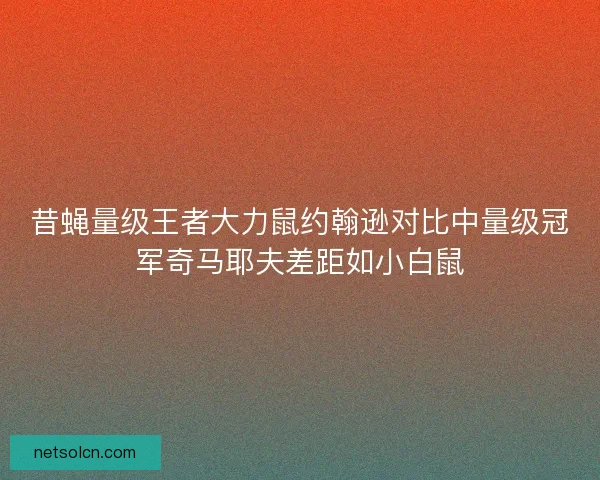 昔蝇量级王者大力鼠约翰逊对比中量级冠军奇马耶夫差距如小白鼠